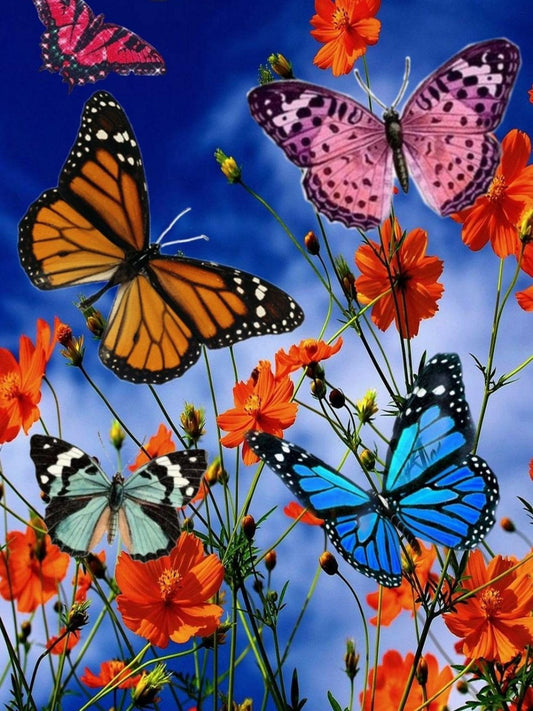 Butterfly | Diamond Painting