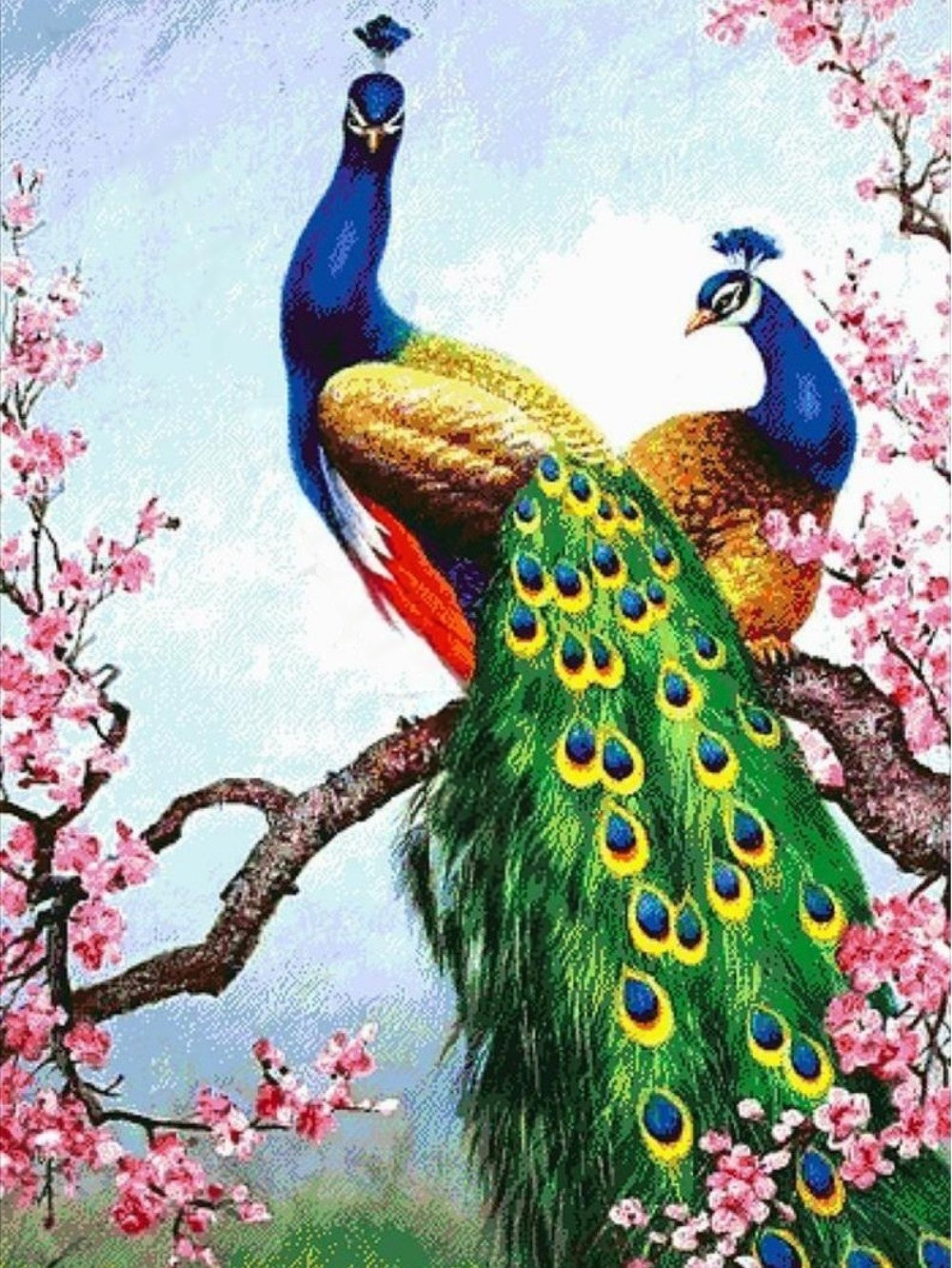 Peacock | Diamond Painting