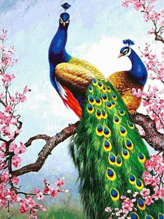 Peacock | Diamond Painting