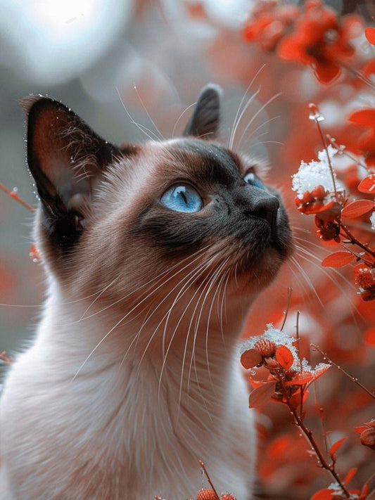 Siamese Cat | Diamond Painting