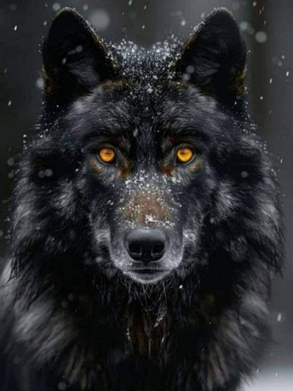 Wolf | Diamond Painting