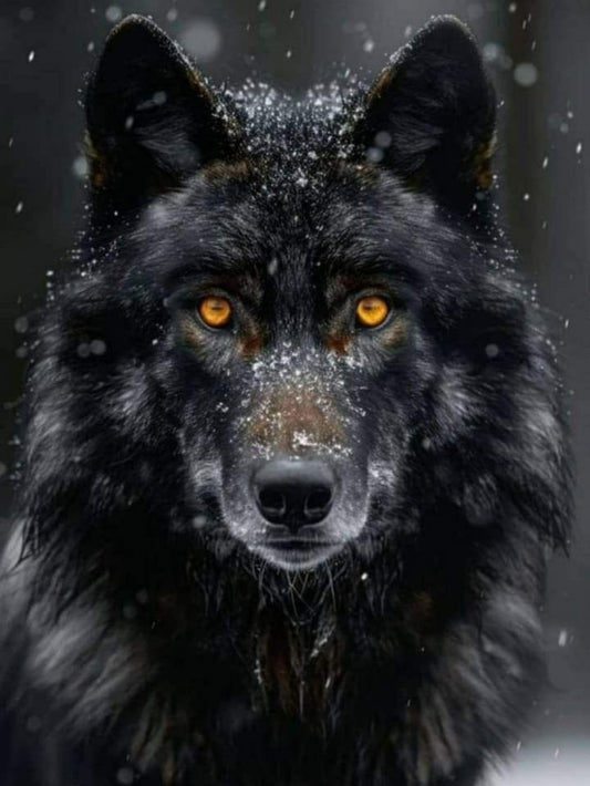 Wolf | Diamond Painting
