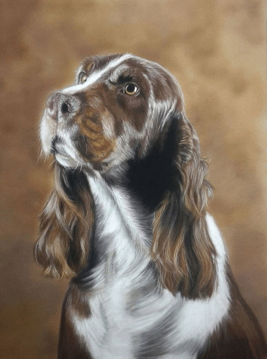 English Springer Spaniel Dog | Diamond Painting