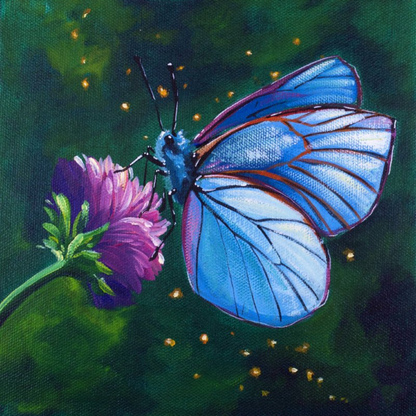 Butterfly | Diamond Painting