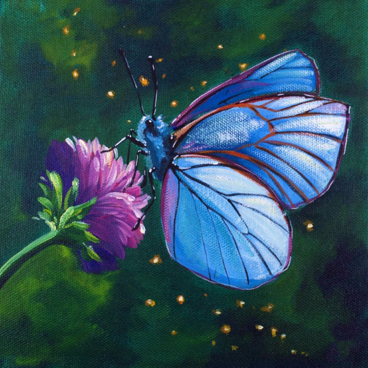 Butterfly | Diamond Painting