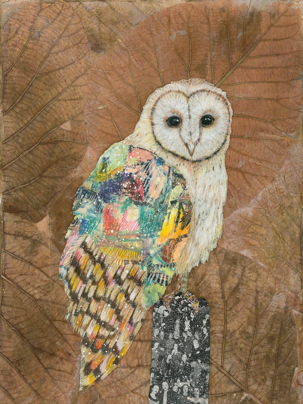 Barn Owl | Diamond Painting