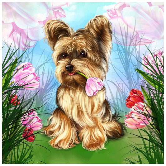 Animal Dog Yorkie | Diamond Painting