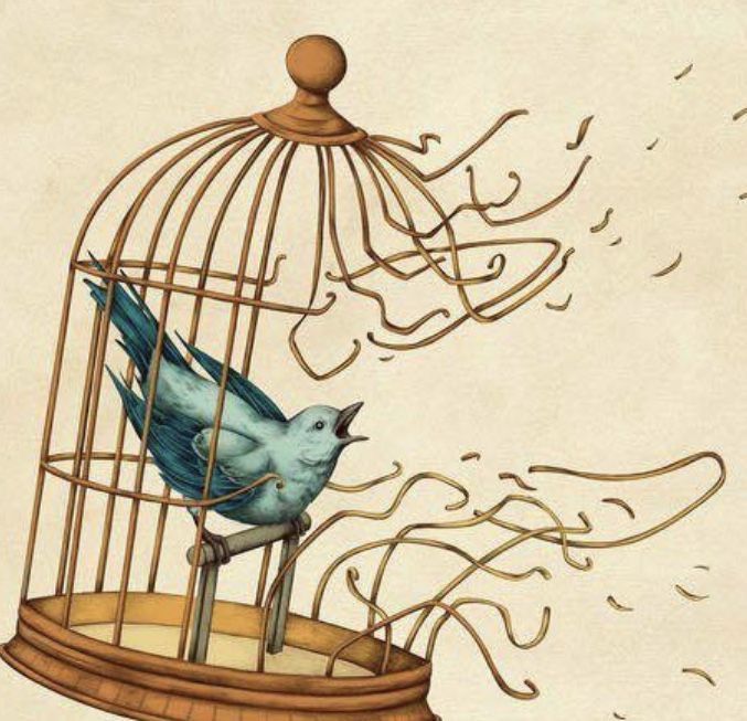 Cage | Diamond Painting