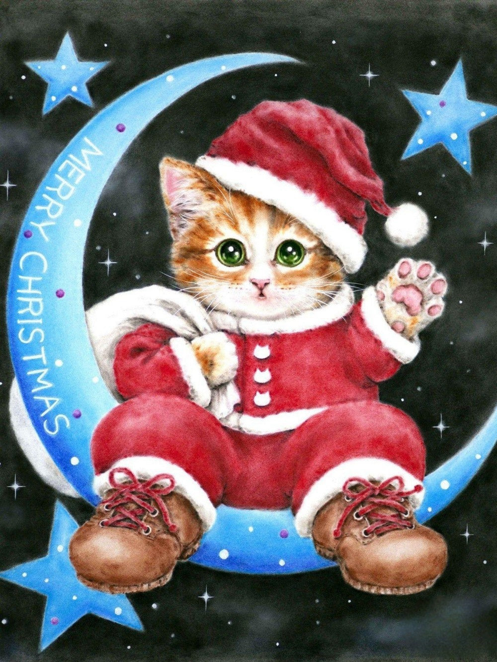 Christmas cat | Diamond Painting