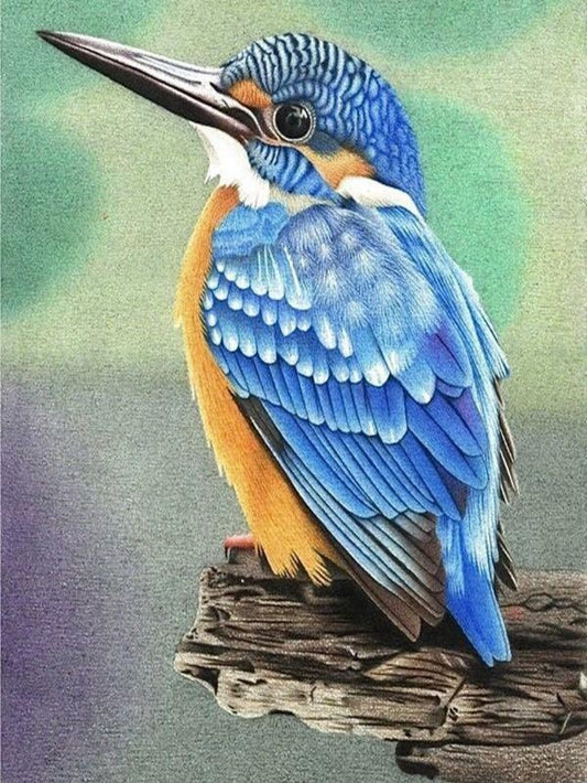 Kingfisher | Diamond Painting
