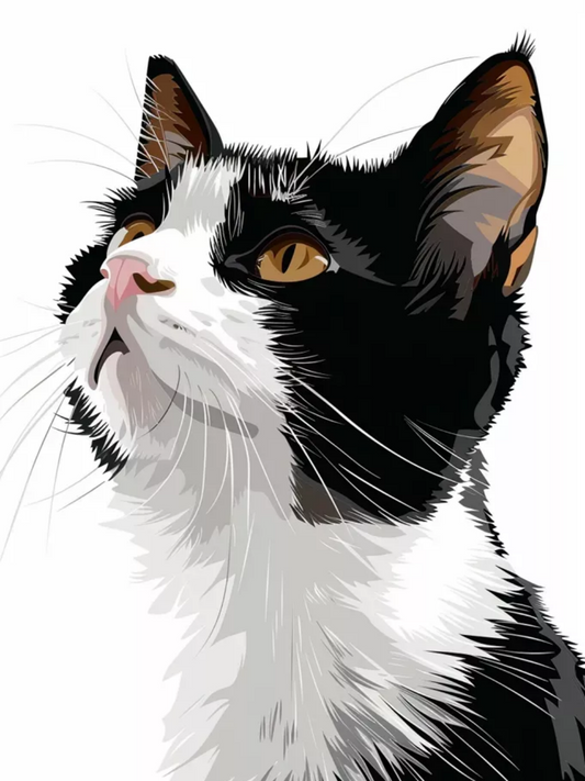 Tuxedo Cat  | Diamond Painting