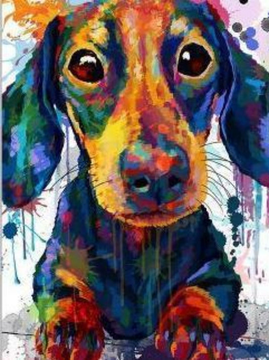 Dachshund Dog | Diamond Painting