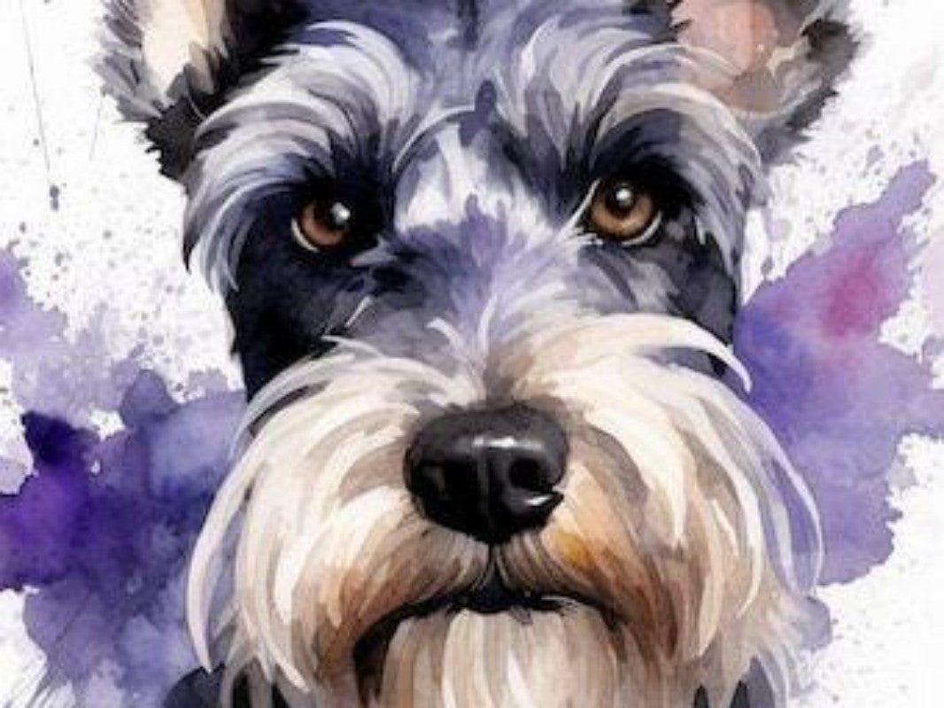 Dog Schnauzer | Diamond Painting
