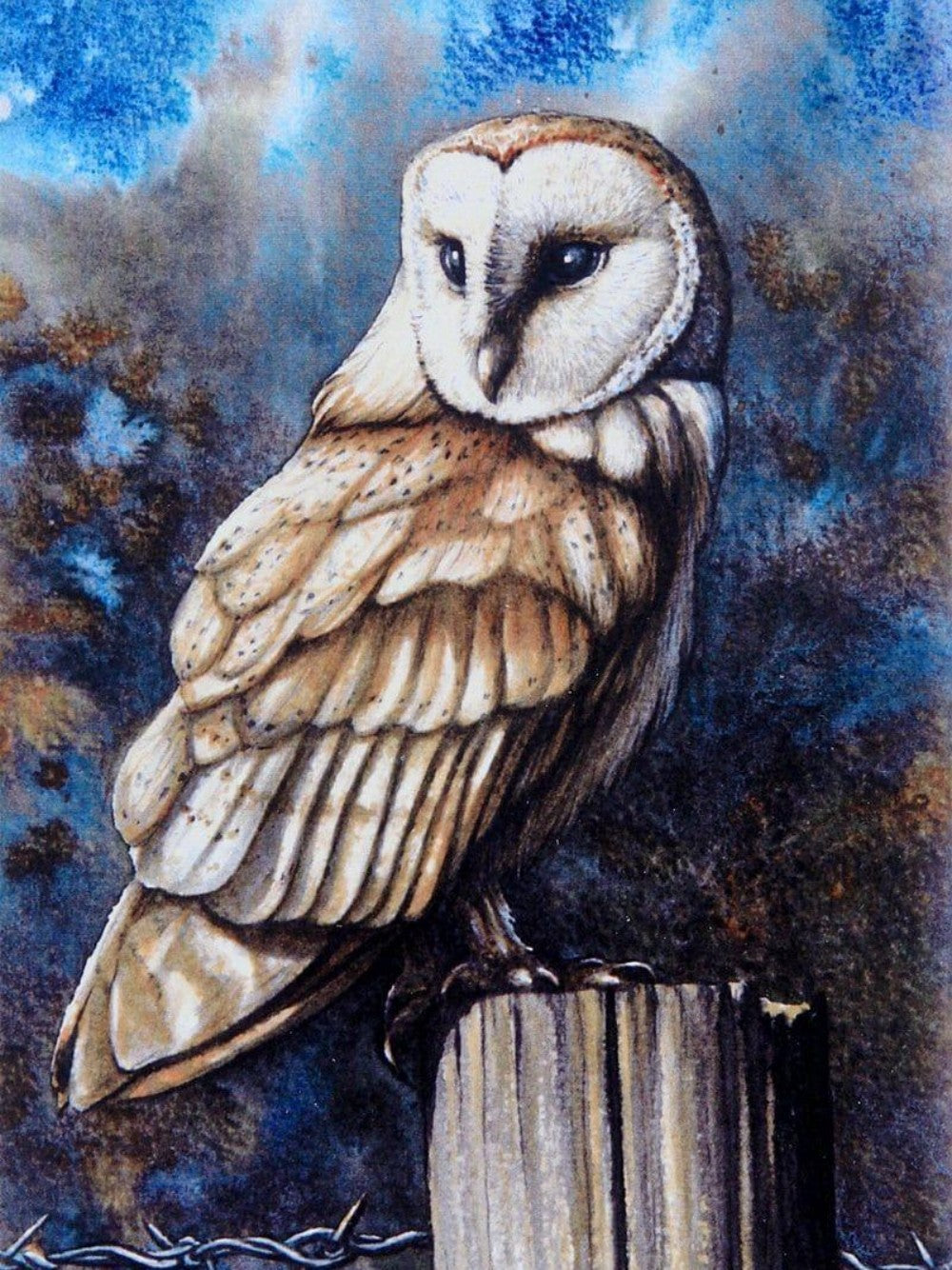 Barn Owl | Diamond Painting