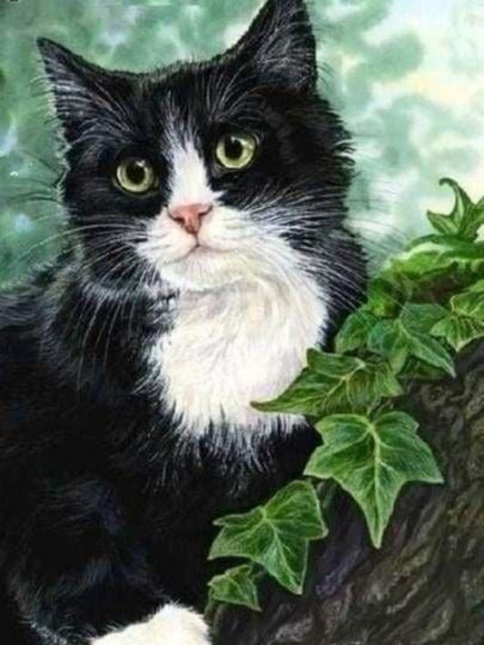 Tuxedo Cat  | Diamond Painting