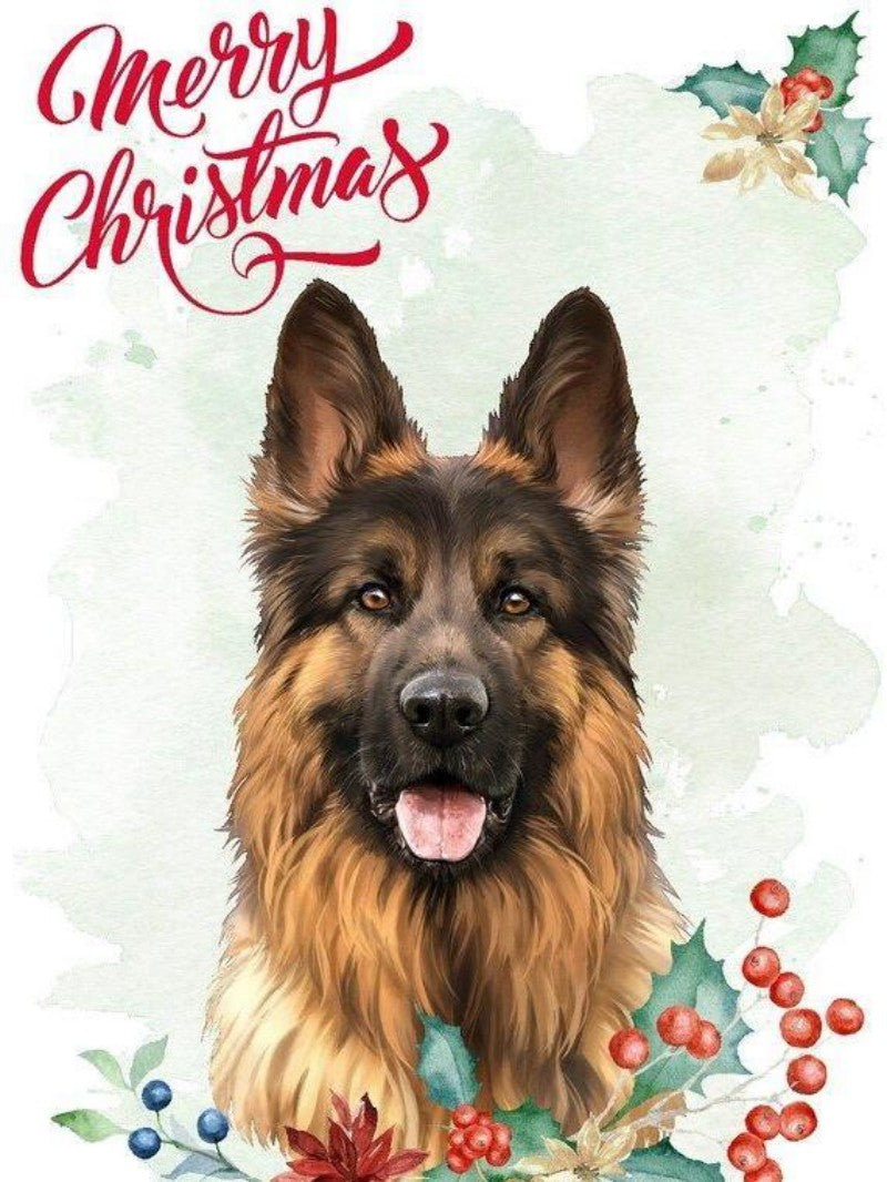 Dog German Shepherd | Diamond Painting