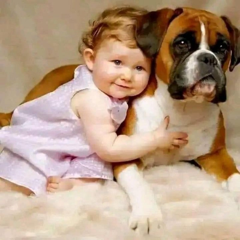 Boxer Dog | Diamond Painting