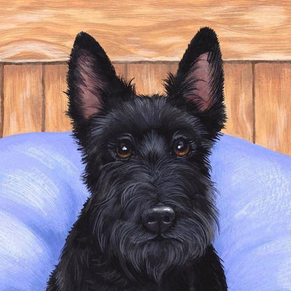 Dog Schnauzer | Diamond Painting
