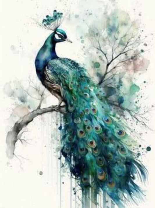 Peacock | Diamond Painting