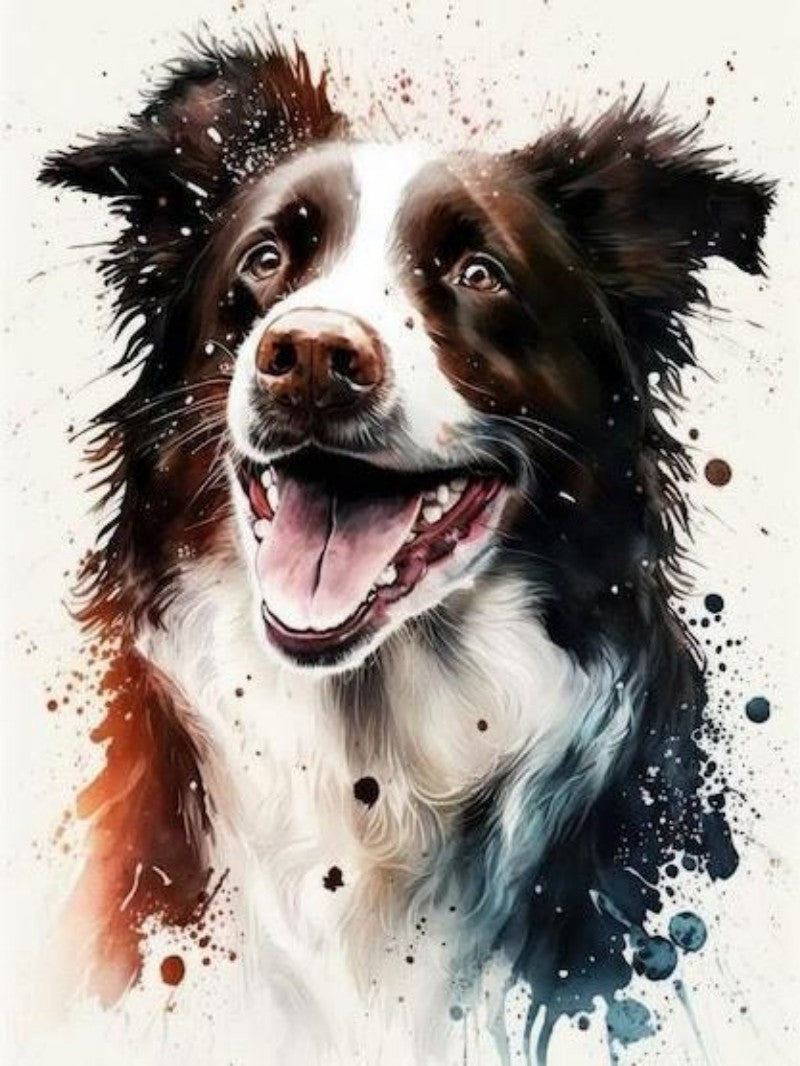 Dog Border Collie | Diamond Painting
