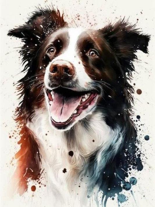 Dog Border Collie | Diamond Painting