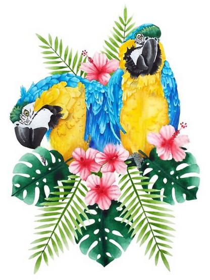 Macaw | Diamond Painting