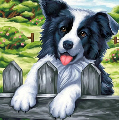 Fence Dog Border Collie | Diamond Painting
