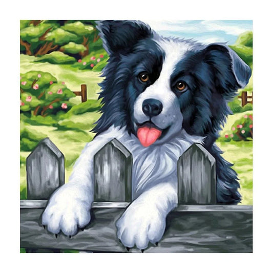 Fence Dog Border Collie | Diamond Painting