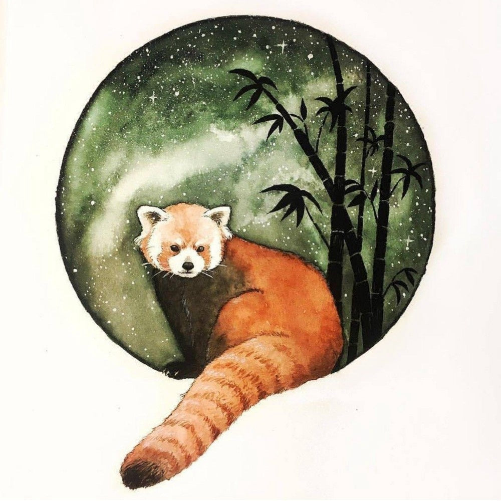 Red Panda | Diamond Painting