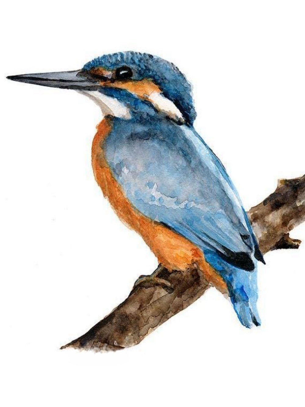 Kingfisher | Diamond Painting