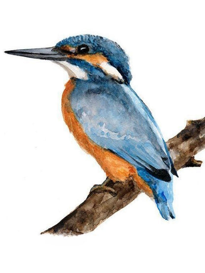 Kingfisher | Diamond Painting