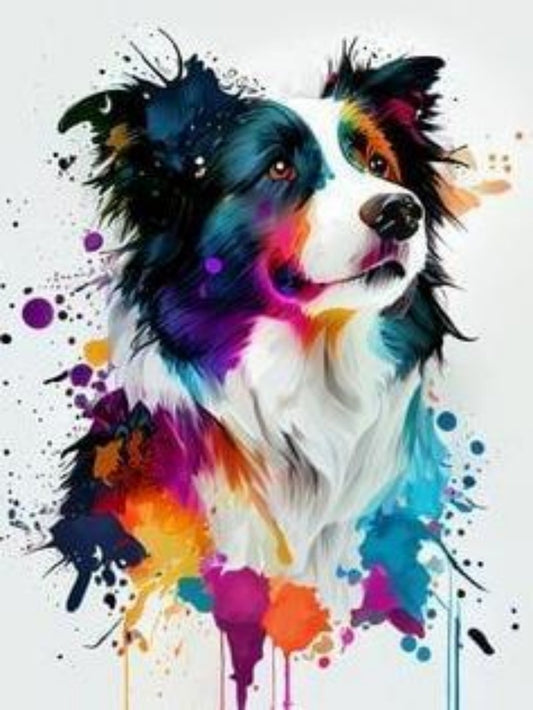 Dog Border Collie | Diamond Painting