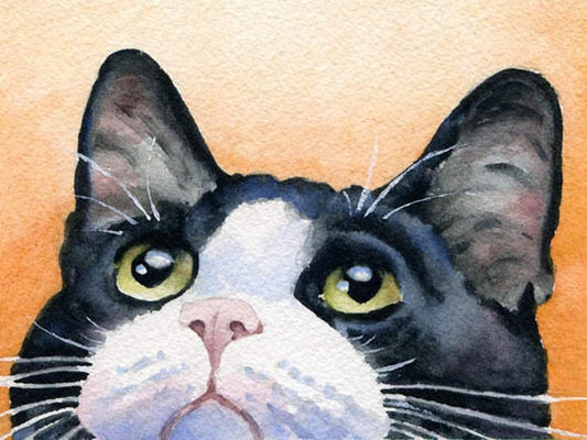 Tuxedo Cat  | Diamond Painting
