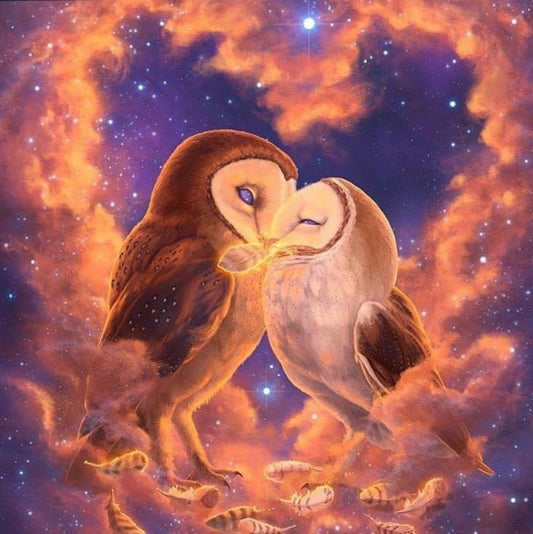 Barn Owl | Diamond Painting