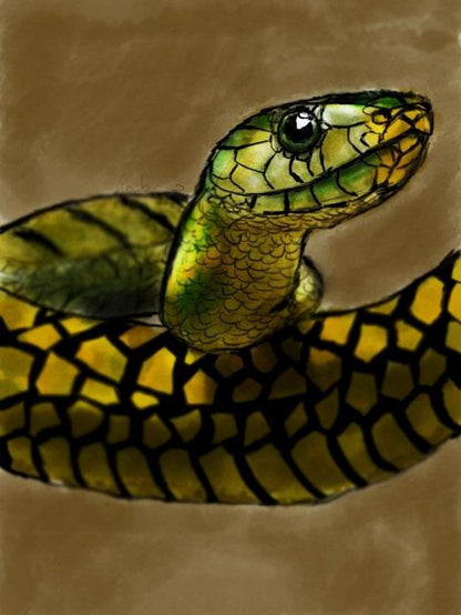 Rattlesnake | Diamond Painting