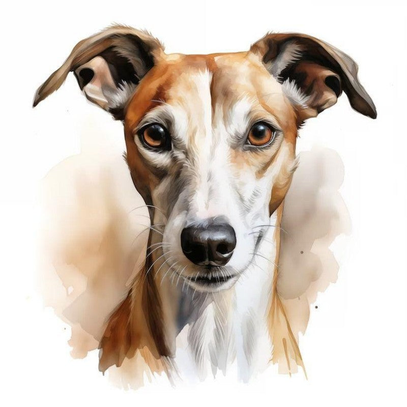 Whippet Dog | Diamond Painting