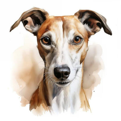 Whippet Dog | Diamond Painting