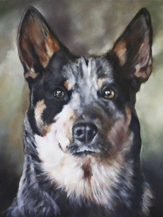 Cattle Dog (Blue Heeler) | Diamond Painting