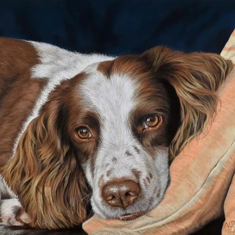 English Springer Spaniel Dog | Diamond Painting