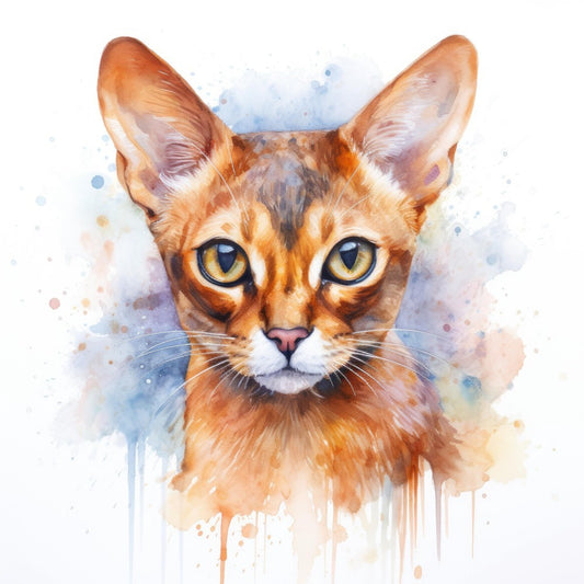 Abyssinian Cat | Diamond Painting
