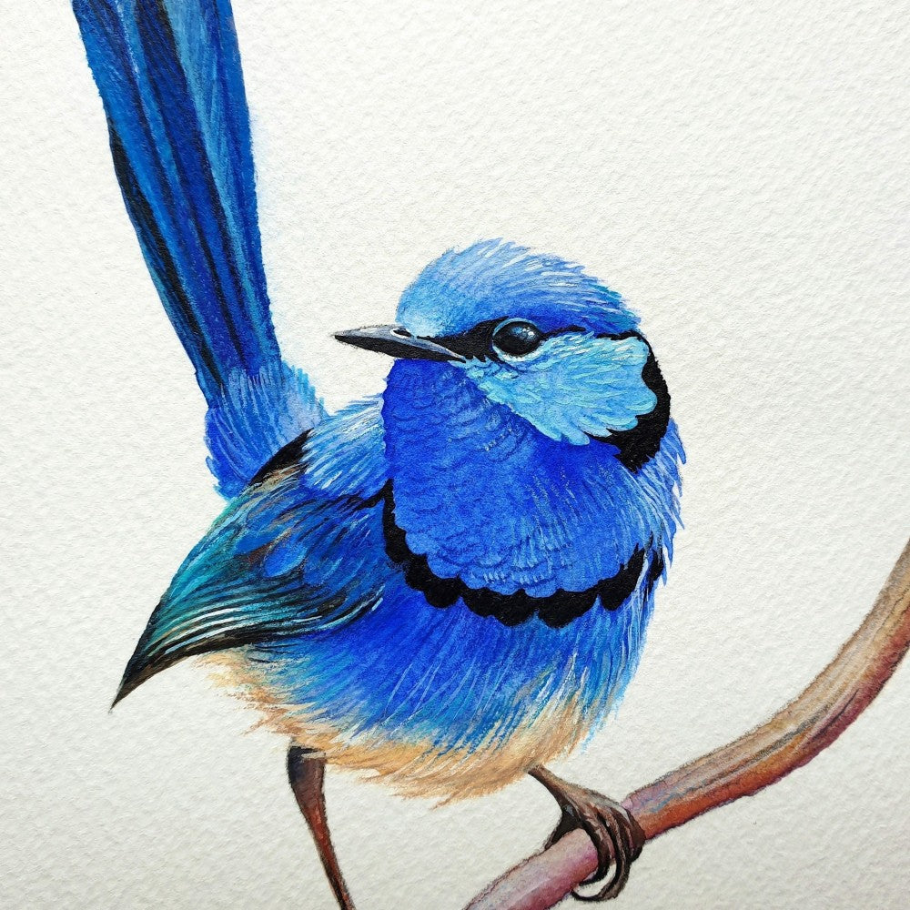 Blue Wren | Diamond Painting