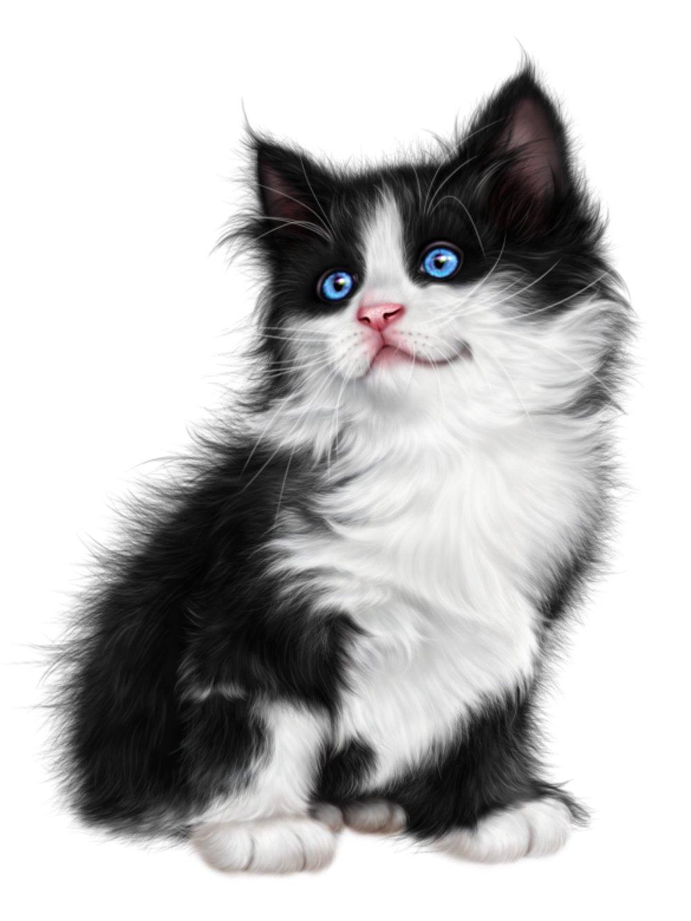 Tuxedo Cat  | Diamond Painting