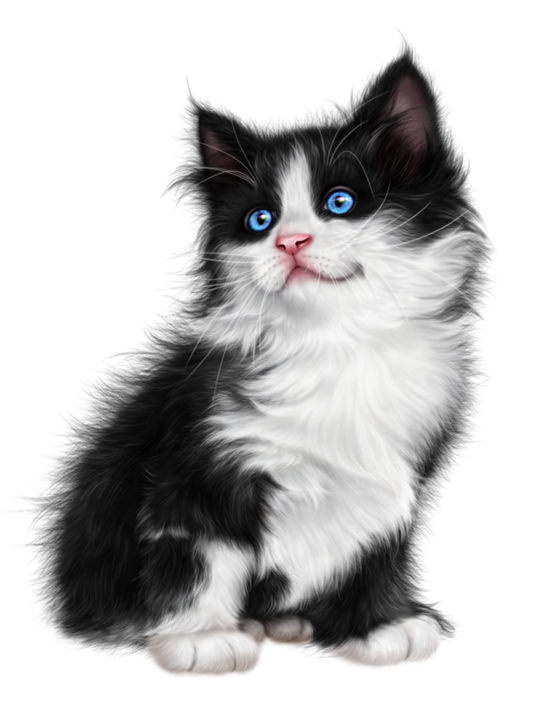 Tuxedo Cat  | Diamond Painting