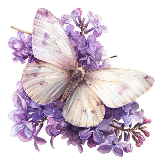 Butterfly | Diamond Painting