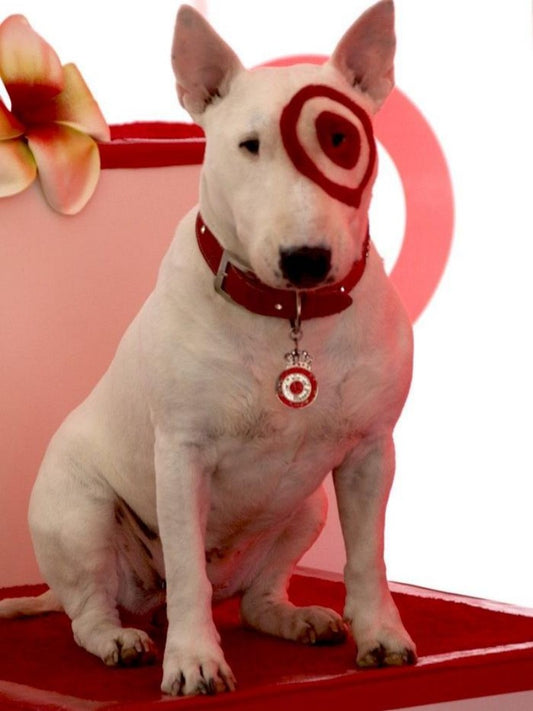 English Bull Terrier Dog | Diamond Painting