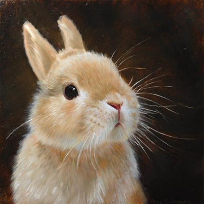 Rabbit | Diamond Painting