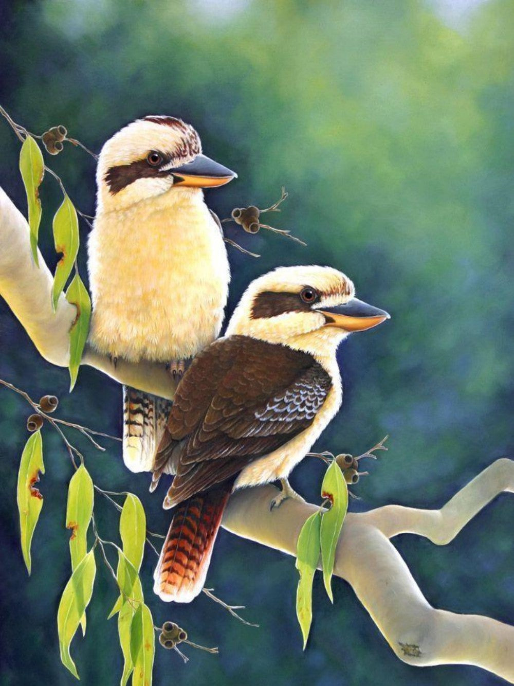 Kookaburra | Diamond Painting