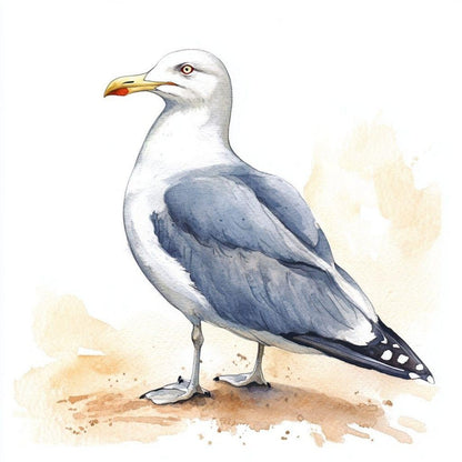 Gull | Diamond Painting