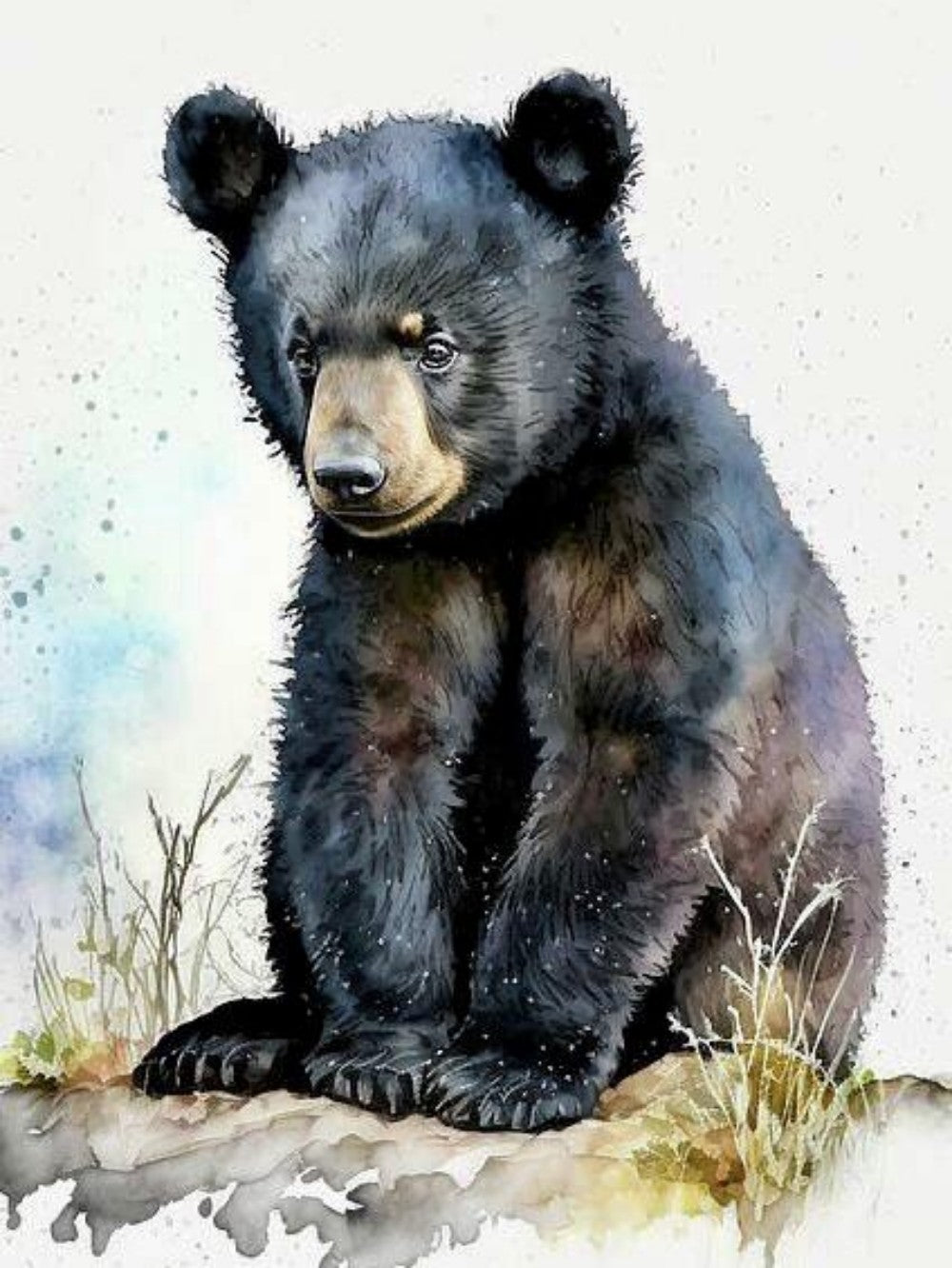 Black Bear | Diamond Painting