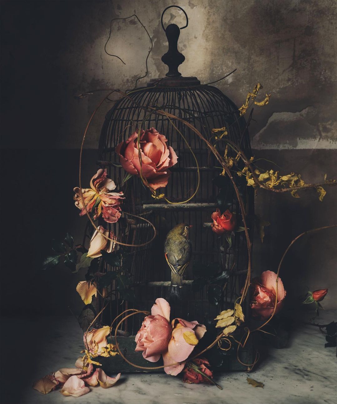 Cage | Diamond Painting